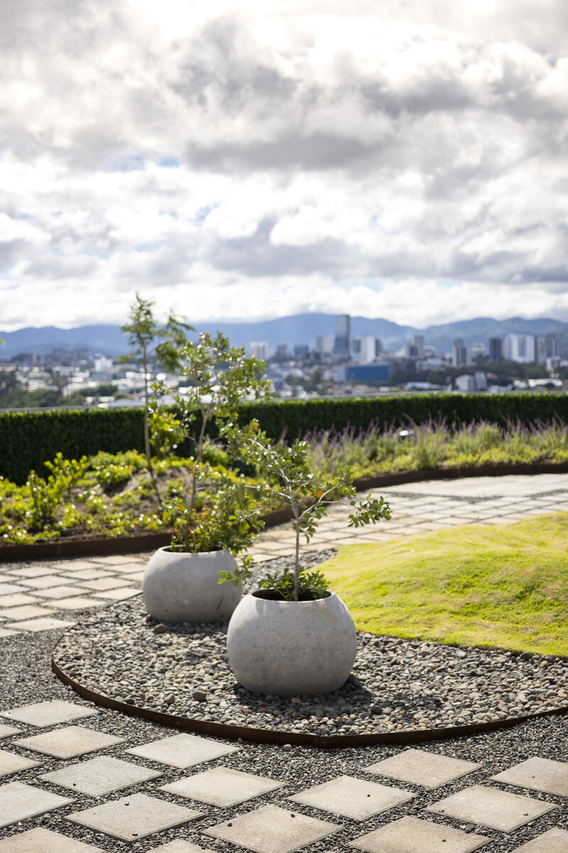 Jardín en azotea con vista a la ciudad, parte del programa de sostenibilidad del parque